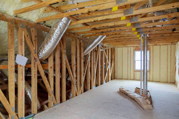 Best Insulation Repair Services  in Balch Springs, TX
