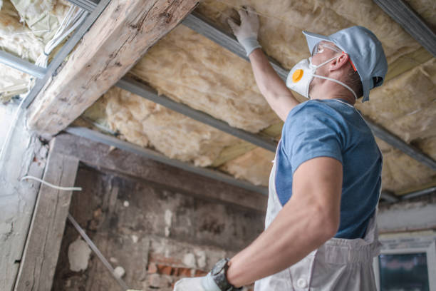Best Home Insulation Services  in Balch Springs, TX