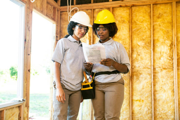 Best Cellulose Insulation  in Balch Springs, TX