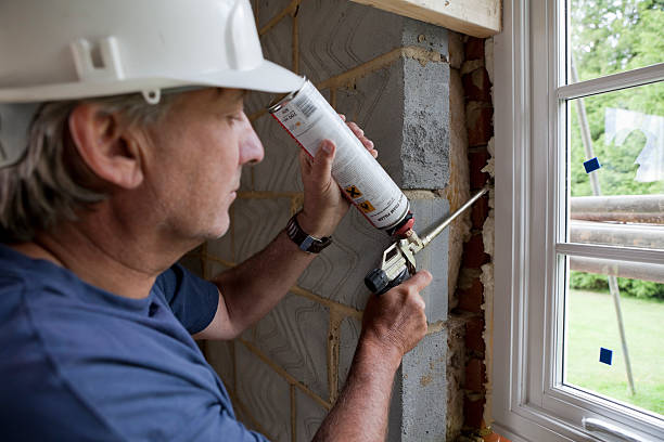 Best Insulation Replacement Services  in Balch Springs, TX