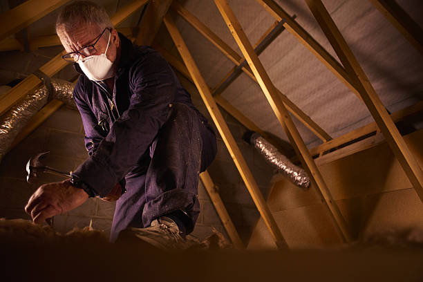 Best Insulation Removal  in Balch Springs, TX